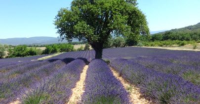 Provence France 2026