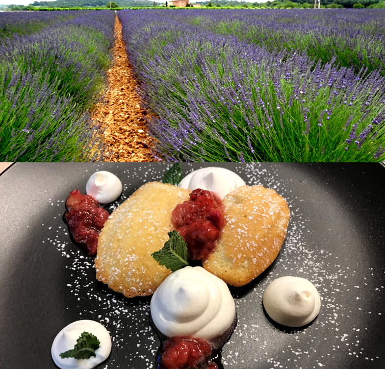 SAVOURING SUMMER in PROVENCE